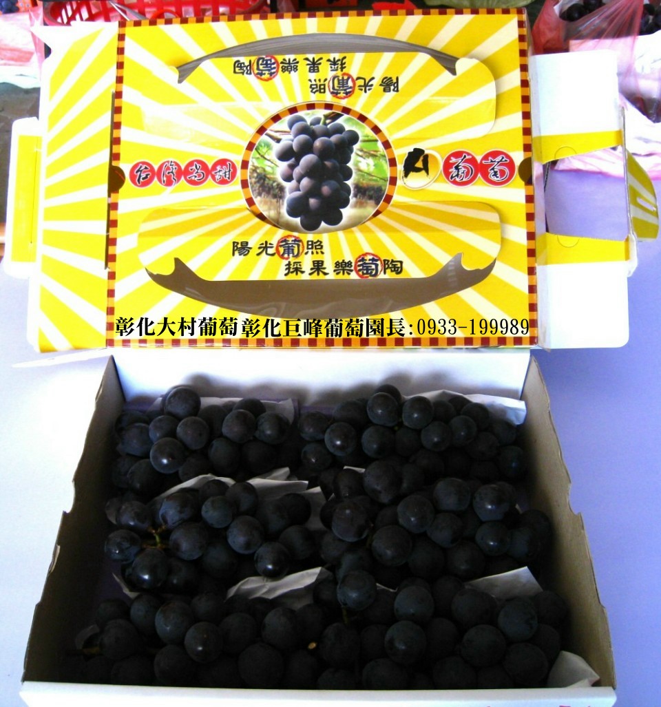 Taiwan,Changhua,Dacun,grape