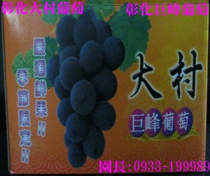 Taiwan,Changhua,Dacun,grape