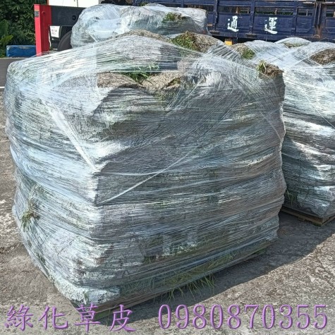 草皮買賣,彰化草皮買賣,台中草皮買賣