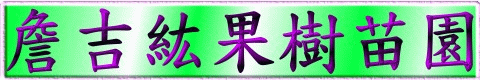 土芭樂果樹苗｜ 詹吉紘種苗園 彰化永靖。歡迎來電：0938-823556祐祐