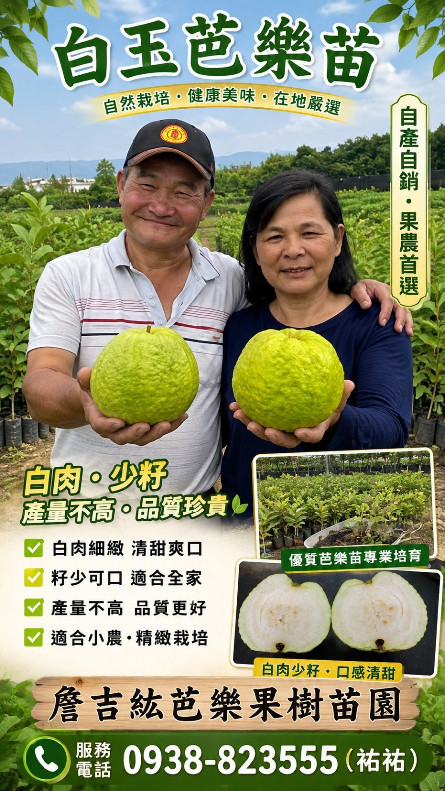 詹吉紘芭樂果樹苗園白玉芭樂苗